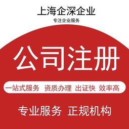 奉贤区注册公司解析